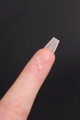 Kadın Şeffaf Antialerjik Bioplastf Düz Hızma Piercing 1 Adet