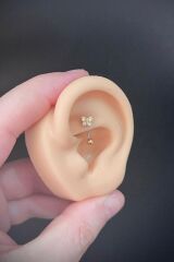 Kadın Kelebek Figürlü Zirkon Taşlı Rook ve Kaş Çelik Piercing